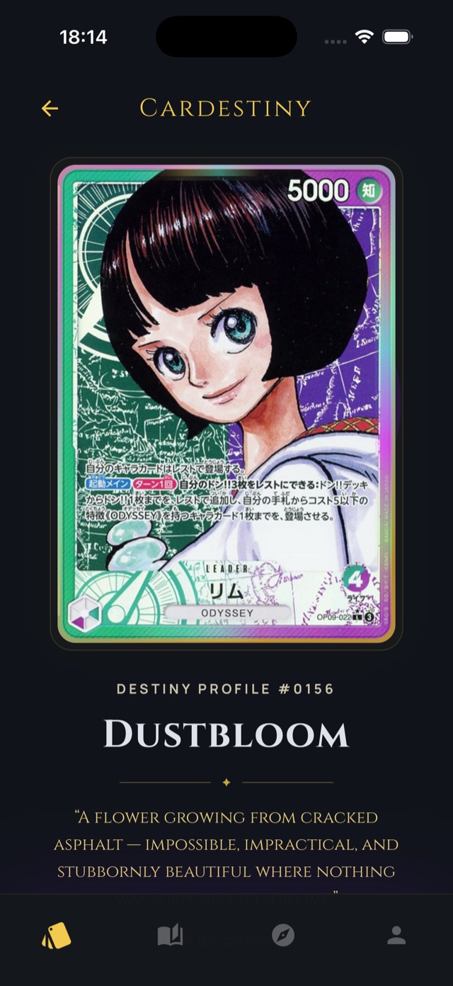 顯現——屬於你的那一張